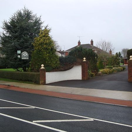 Meadow View B&B Navan Exterior photo